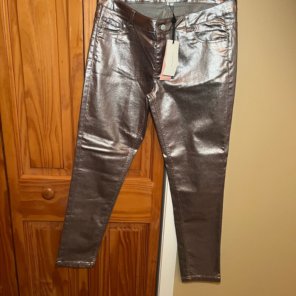 Anthropologie Intropia Metallic Silver Skinny Jeans NWT Sz 10 - Picture 2 of 7